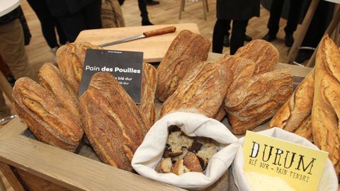 La farine de blé dur donne des pains très attractifs. La farine de blé dur donne des pains très attractifs.